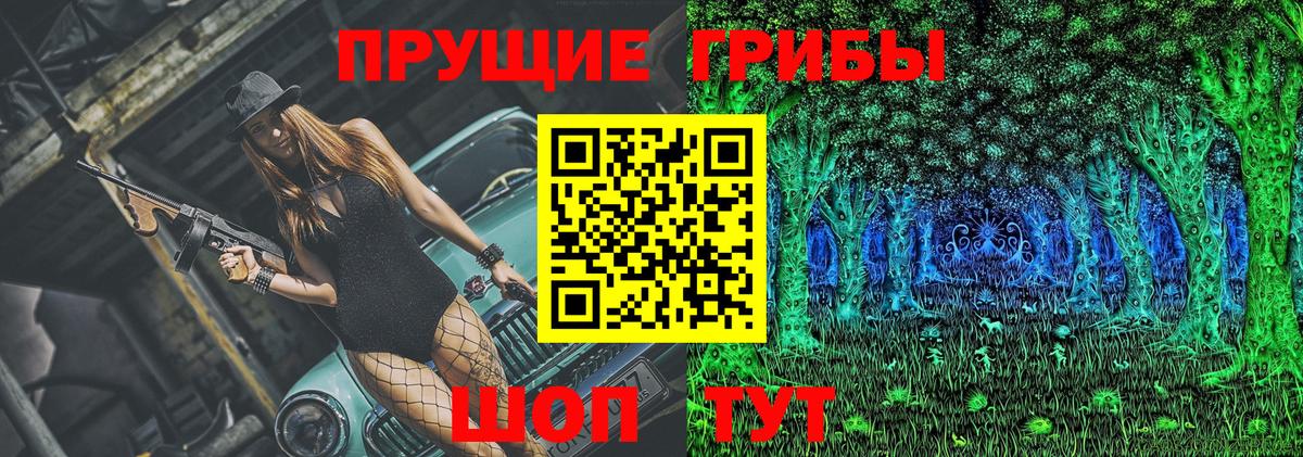 Псилоцибиновые грибы Cubensis  Вход с VPN  Петропавловск-Камчатский  Псилоцибиновые грибы прущие грибы 